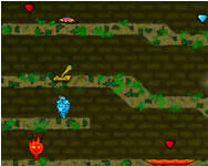 Fireboy and Watergirl 2 forest temple game